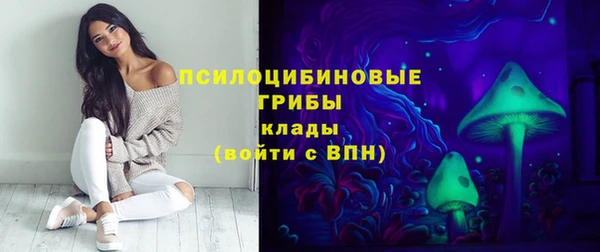 мескалин Арсеньев