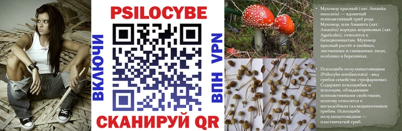 кракен ONION  Валдай  Псилоцибиновые грибы MAGIC MUSHROOMS 